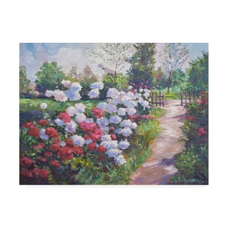David Lloyd Glover 'Blossom Lane' Canvas Art,14x19